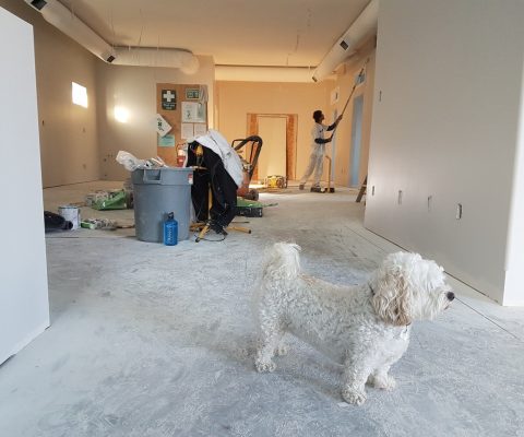 binnenshuis verbouwen